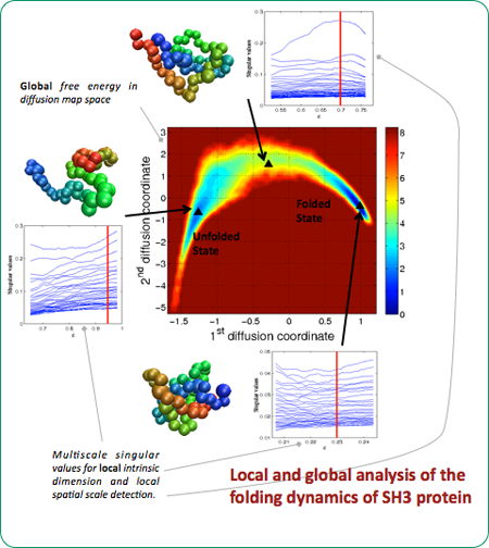 LSD map