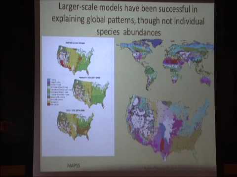 Collective Phenomena, Collective Motion, and Collective Action in Ecological Systems Thumbnail