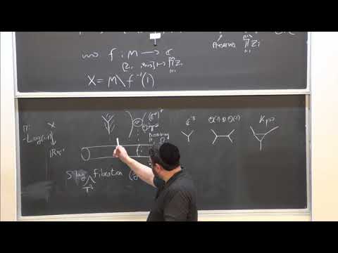 Wrapped Floer theory and Homological mirror symmetry for toric Calabi-Yau manifolds Thumbnail