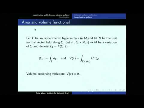 Geometry and topology of isoperimetric and index one minimal surfaces Thumbnail