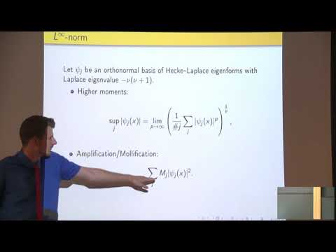 Distributional Aspects of Hecke Eigenforms Thumbnail