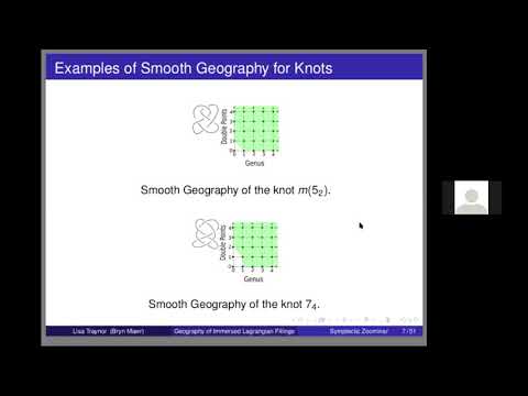 The Geography of Immersed Lagrangian Fillings of Legendrian Submanifolds  Thumbnail