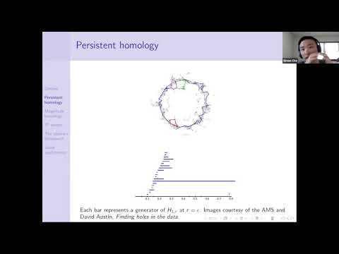 Parameters in indexed homology Thumbnail