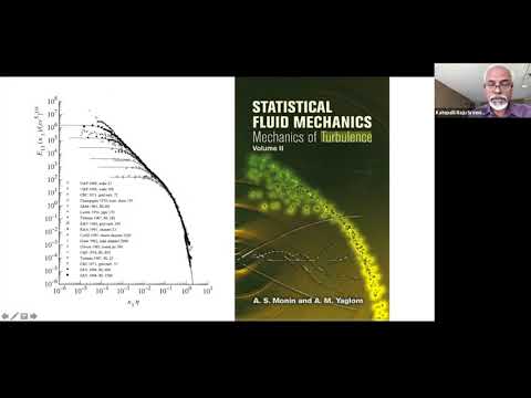 Status of experiments and simulations on scaling problems in turbulence Thumbnail