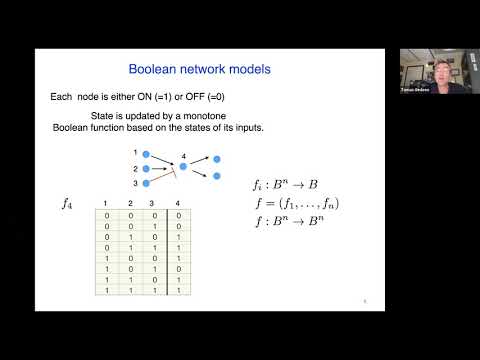 How to describe, analyze and interrogate dynamics of gene regulatory networks Thumbnail