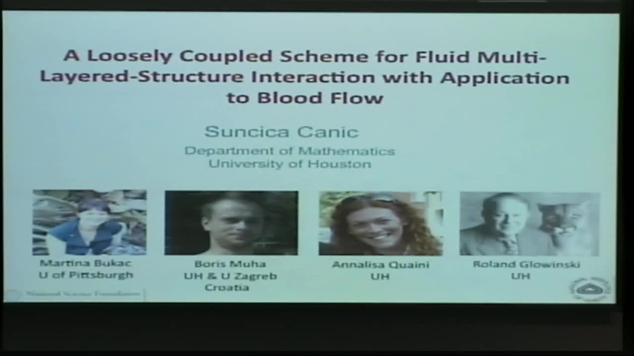 Numerical Simulation of Fluid-Solid Interaction in Blood Flow Thumbnail