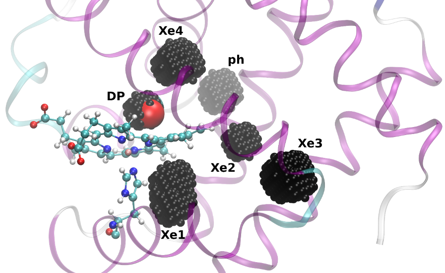 Accelerating molecular dynamics to reach unprecedented simulation times with atomistic accuracy Thumbnail Image