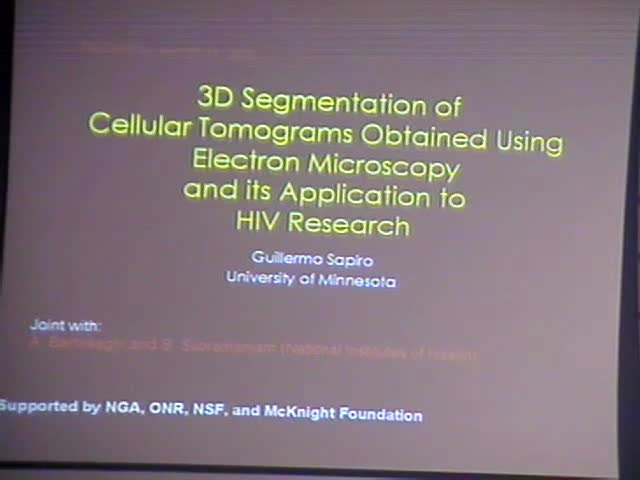 3D Segmentation in Tomography Thumbnail