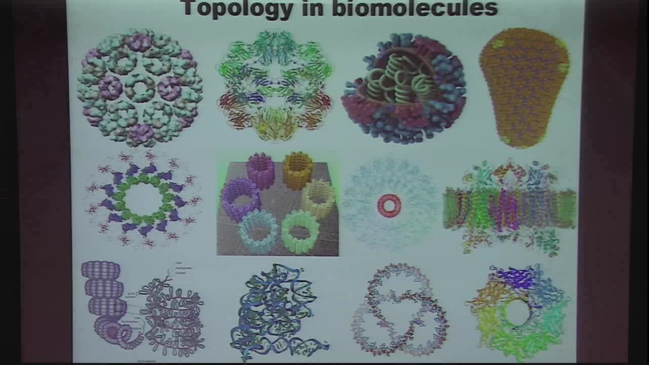 Persistent Homology Analysis of Biomolecules Thumbnail