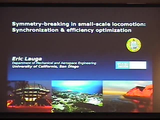 Symmetry-breaking in small-scale locomotion: Synchronization and efficiency optimization Thumbnail