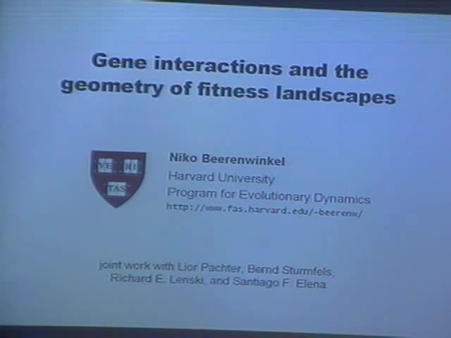 Gene Interactions and the Geometry of Fitness Landscapes Thumbnail