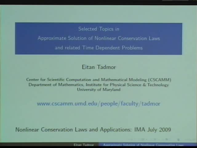 Selected topics in approximate solutions of nonlinear conservation laws Thumbnail