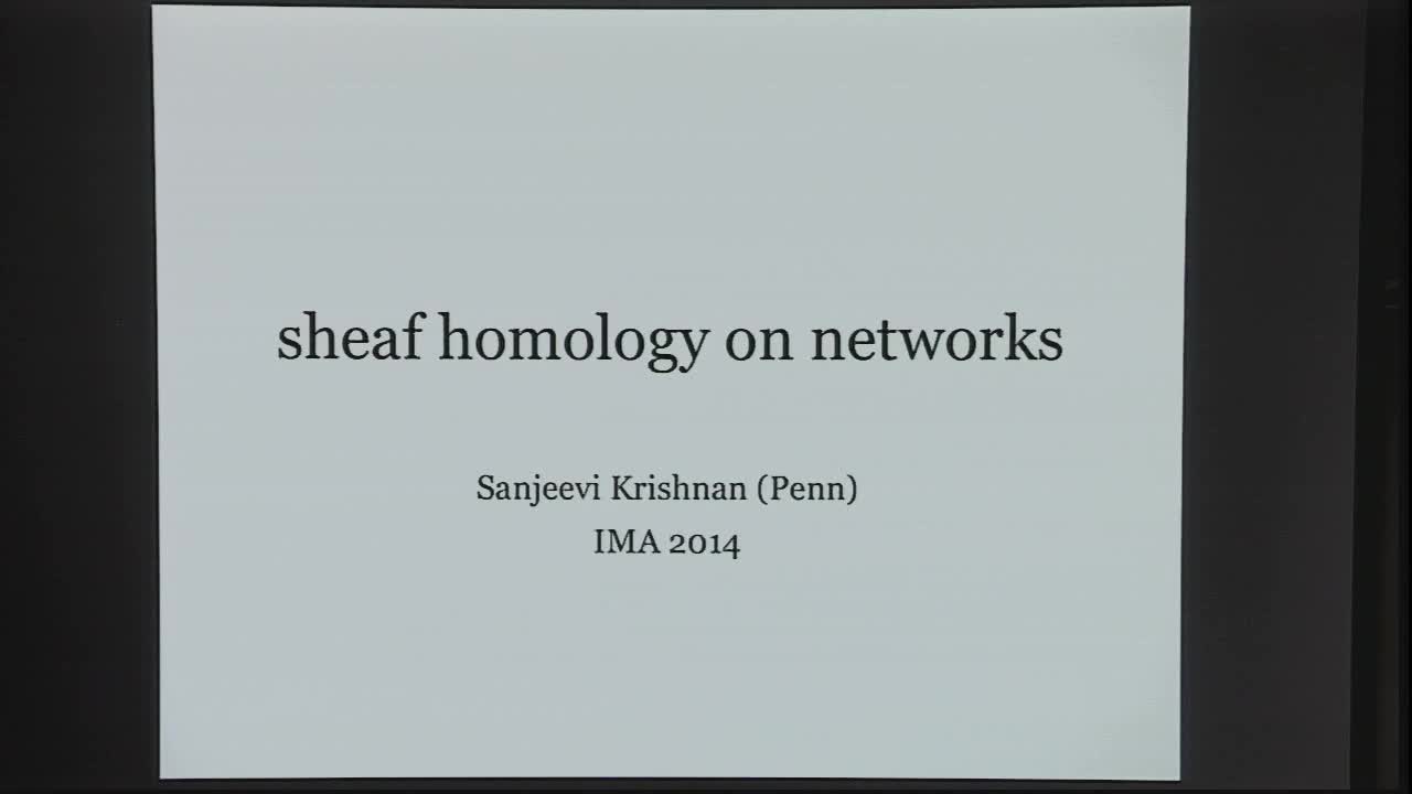 Sheaf Homology on Networks Thumbnail