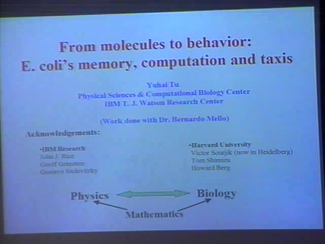 From Molecule to Behavior: E. coli’s Memory, Computation and Taxis Thumbnail