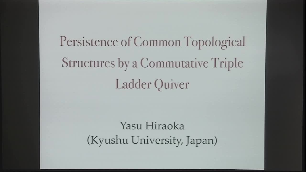 Persistence of Common Topological Structures by a Commutative Triple Ladder Quiver Thumbnail