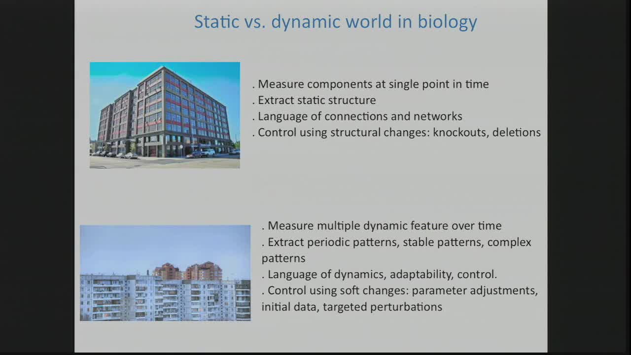 A New Gene Regulation Modeling Platform: Dynamics Database for Boolean Switching Networks Thumbnail