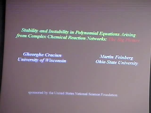 Stability and Instability in Polynomial Equations Arising from Complex Chemical Reaction Networks: The Big Picture Thumbnail