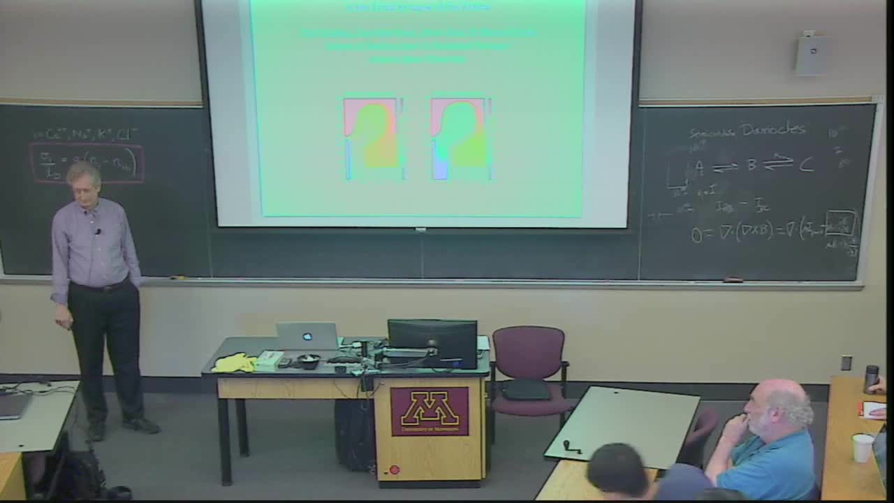 Drift-diffusion Simulation of the Ephaptic Effect in the Triad Synapse of the Retina Thumbnail