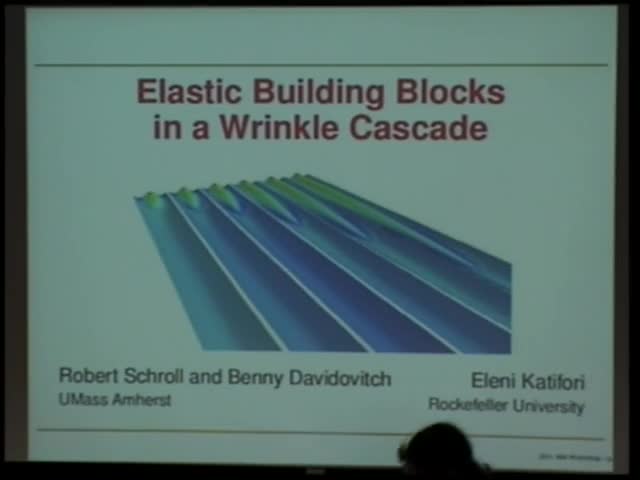 Elastic Building Blocks in a Wrinkle Cascade Thumbnail