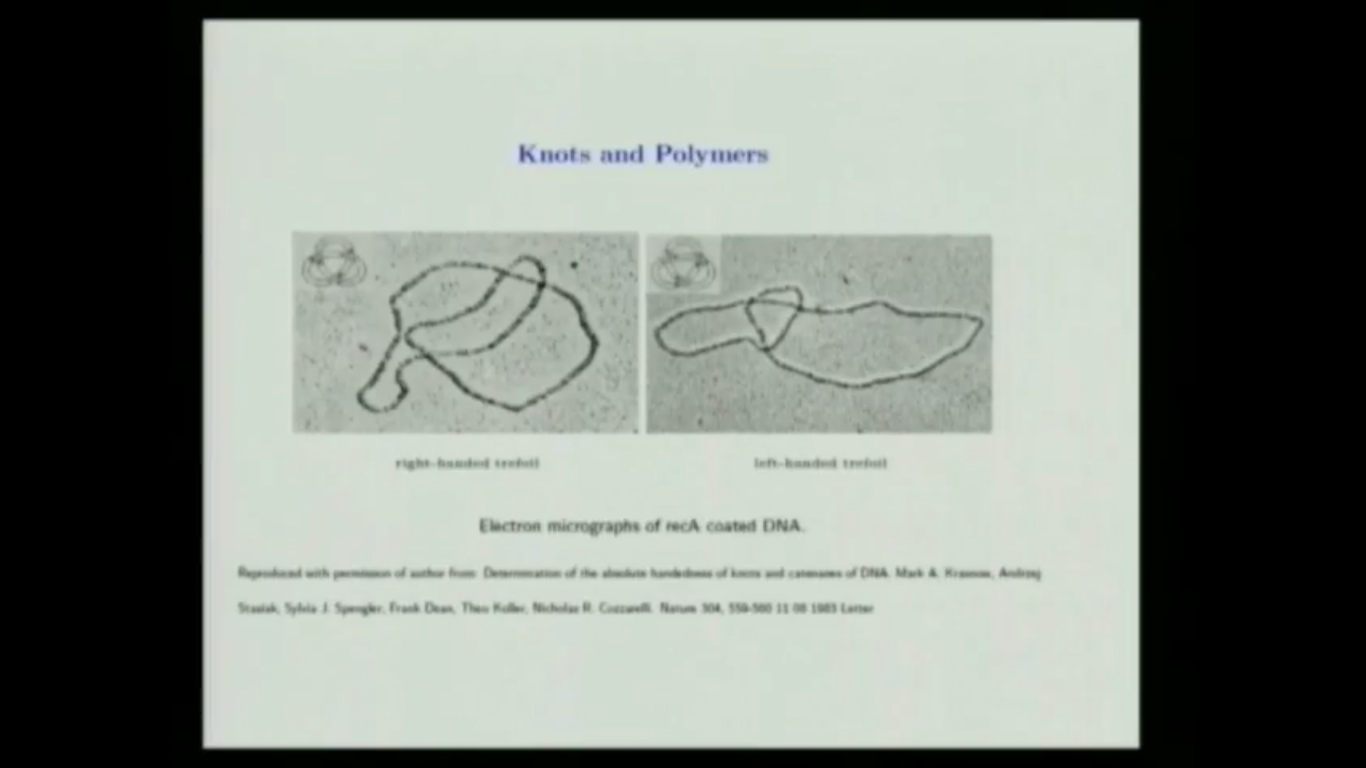 Lattice Models of Polymer Entanglements Thumbnail