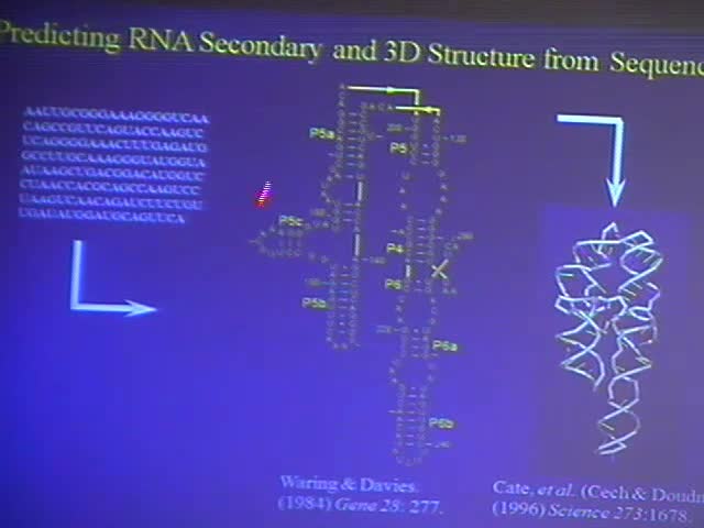 Prediction of the Secondary Structure Common to Two Sequences: Free Energy Minimization and Comparative Analysis Thumbnail