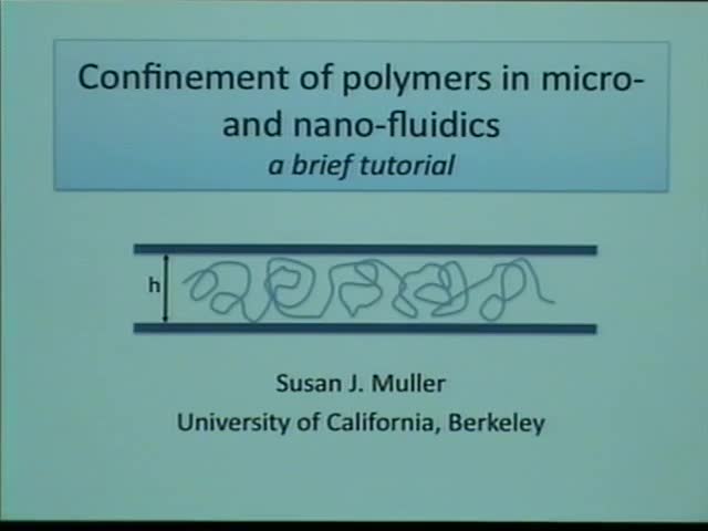 Confinement effects with macromolecules Thumbnail