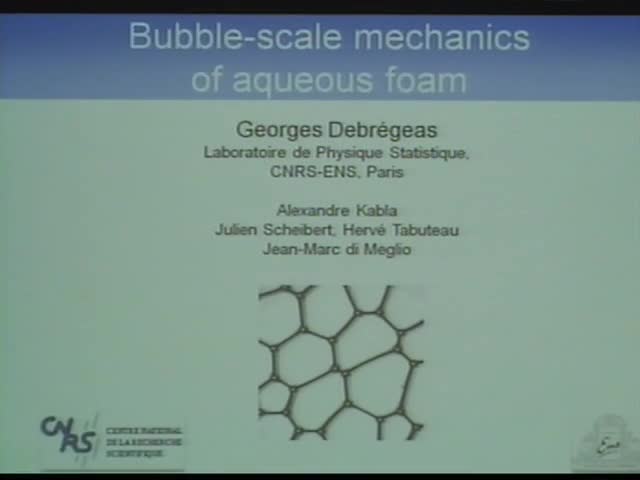 Quasi-static rheology of aqueous foams Thumbnail