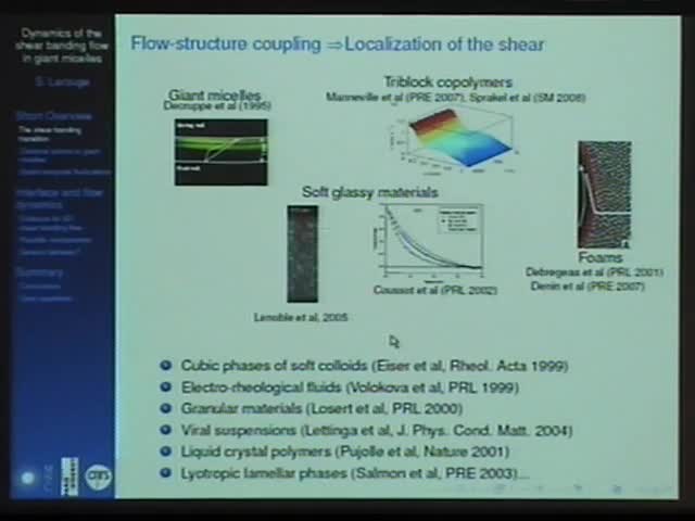 Dynamics of the shear banding flow in giant micelles Thumbnail