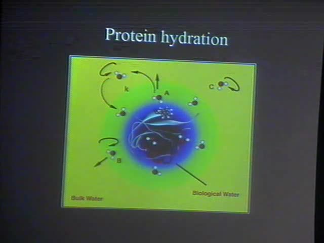 Probing the prion hydration by Molecular dynamics
simulations: from native via misfolded to amyloid
conformations Thumbnail