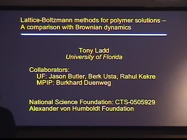 Lattice-Boltzmann methods for polymer solutions - A comparison with Brownian
dynamics
 Thumbnail