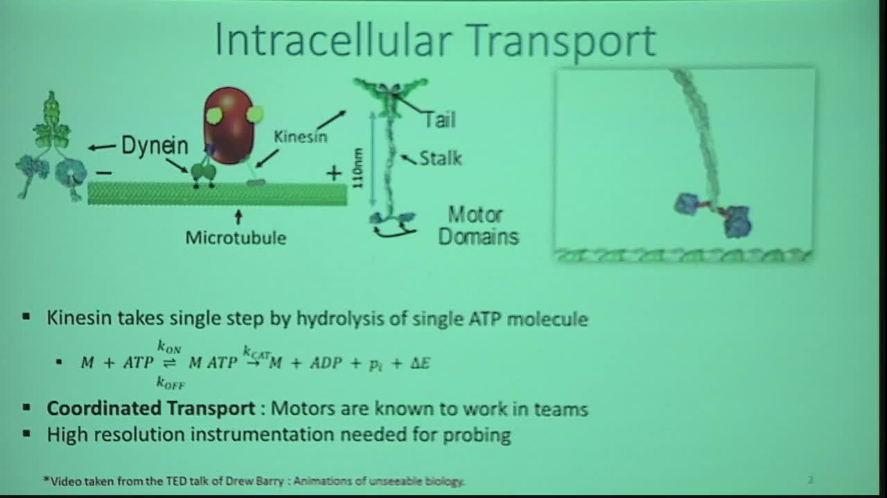 Study of Emergent Transport Properties of Molecular Motor Ensemble Using Novel Computational Approach Thumbnail