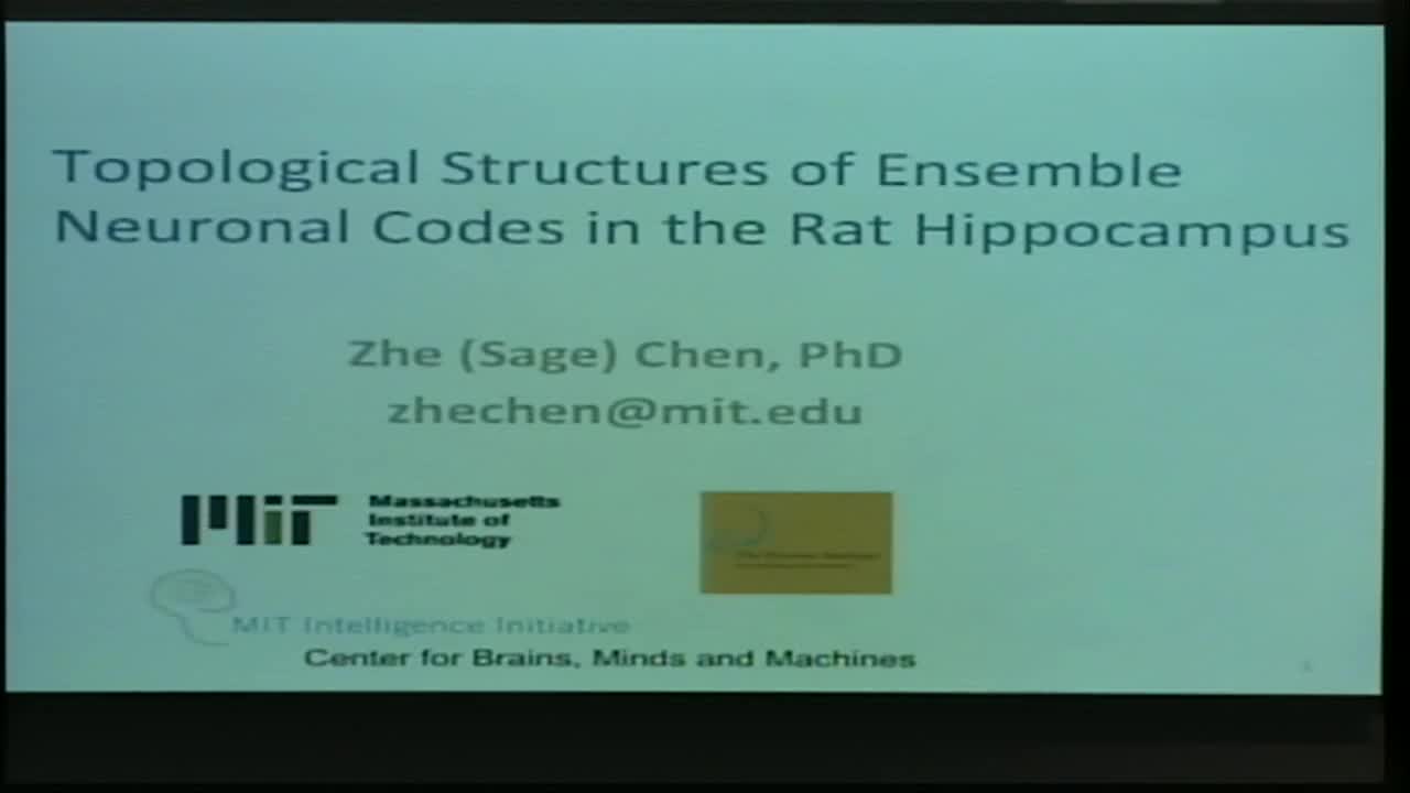 Topological Structures of Ensemble Neuronal Codes in the Rat Hippocampus Thumbnail