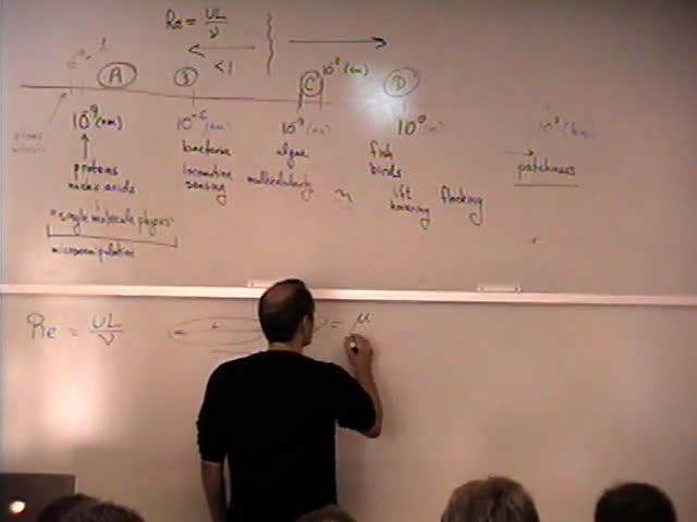 Introduction to Biophysical Fluid Dynamics Thumbnail