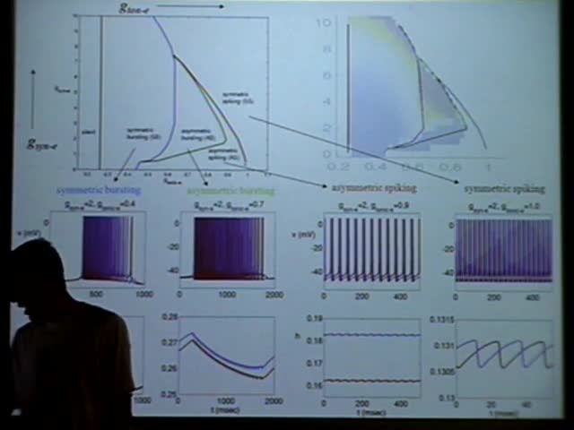 Membrane dynamics, singular perturbation, bursting, synapses Thumbnail