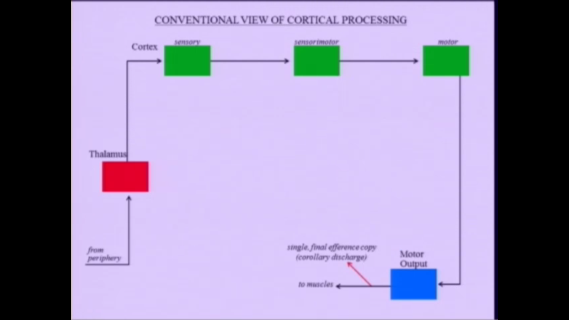 A View of Cortex from the Thalamus Thumbnail