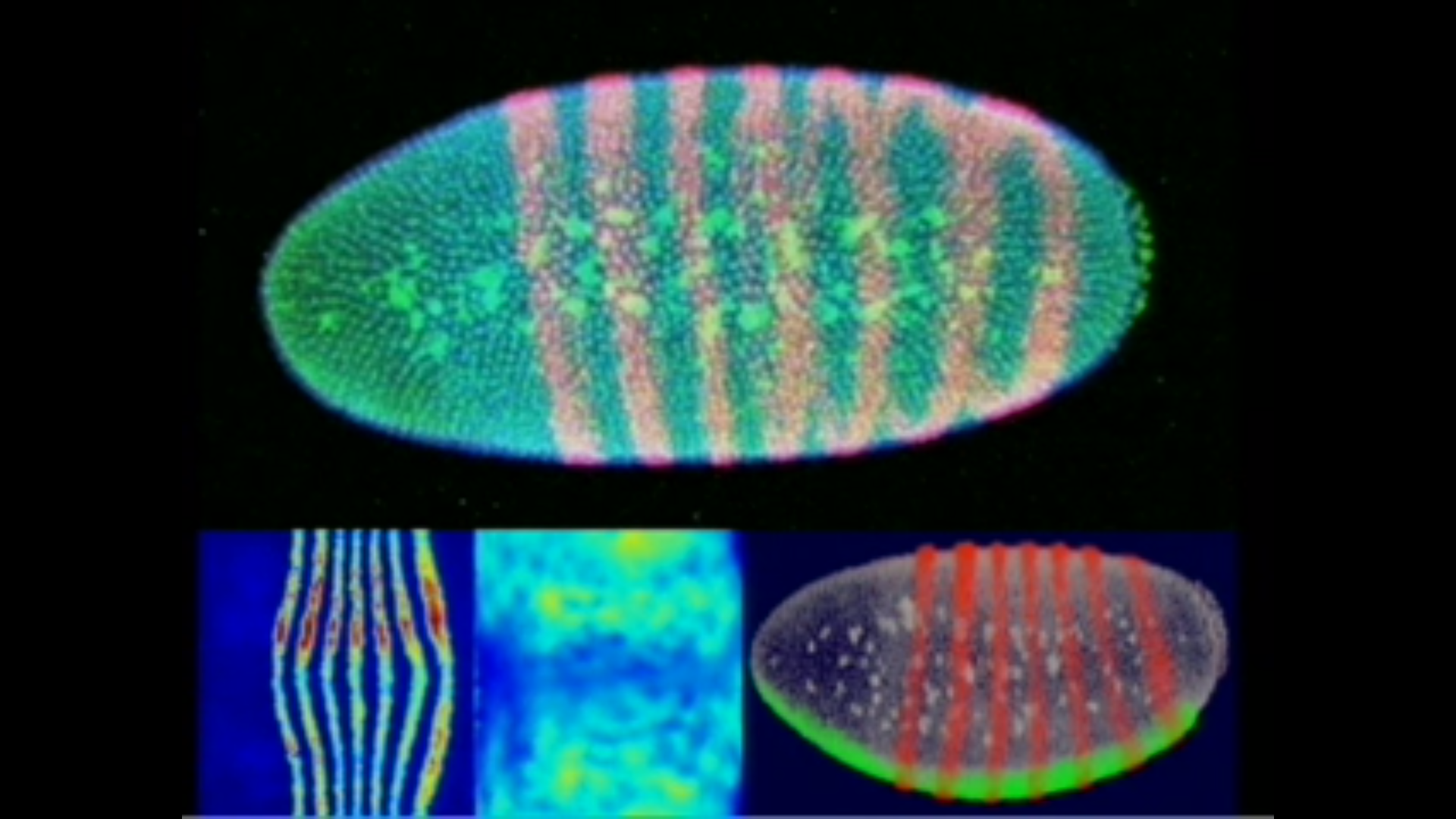 In vitro data and the analysis of ChIP-seq and ChIP-chip experiments Thumbnail