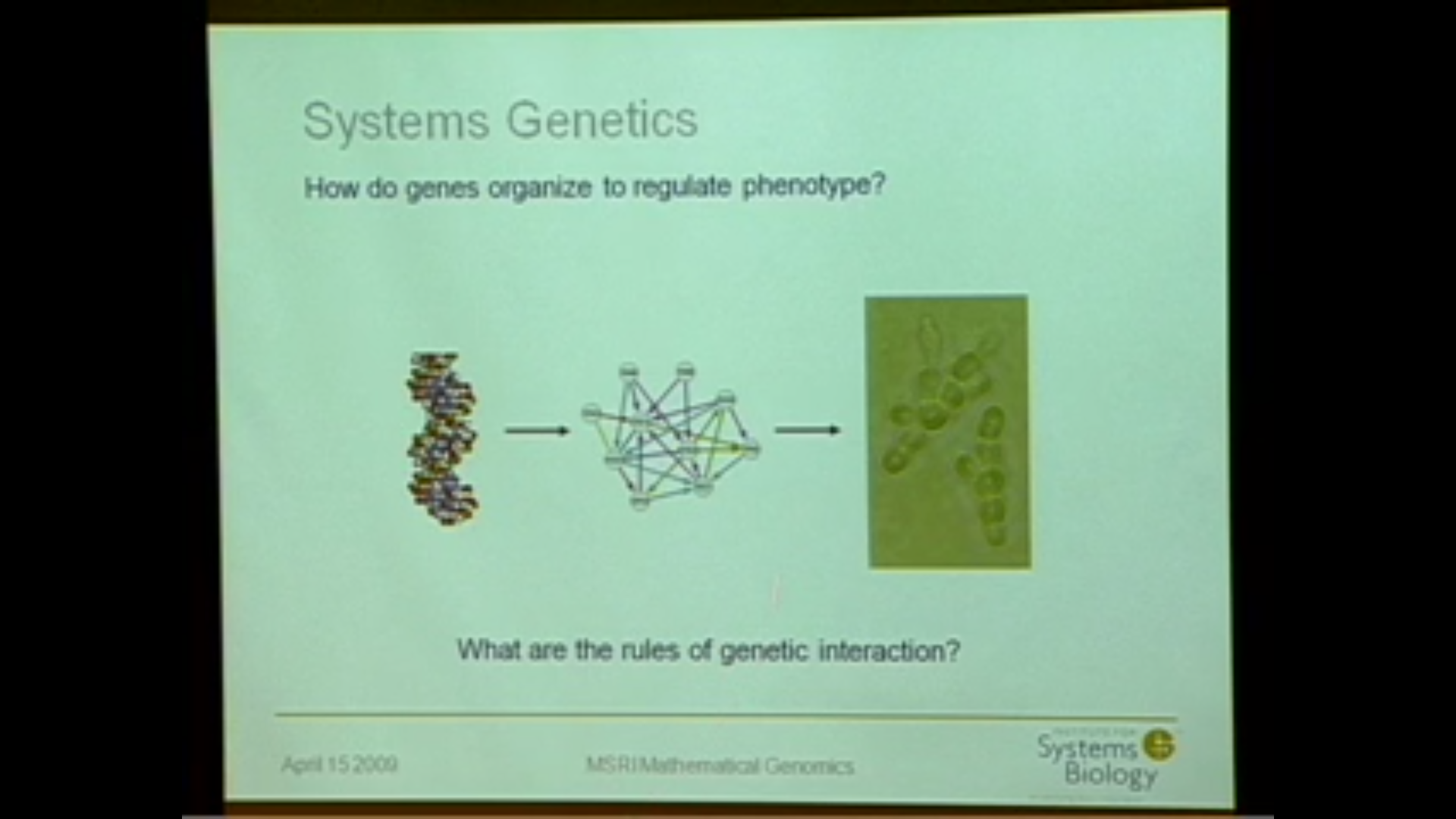 Maximizing Information from Genetic Data Thumbnail