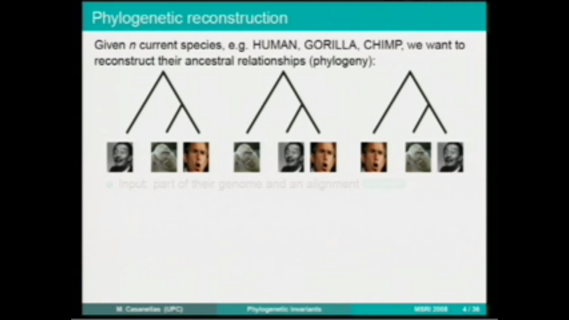 Phylogenetic invariants Thumbnail