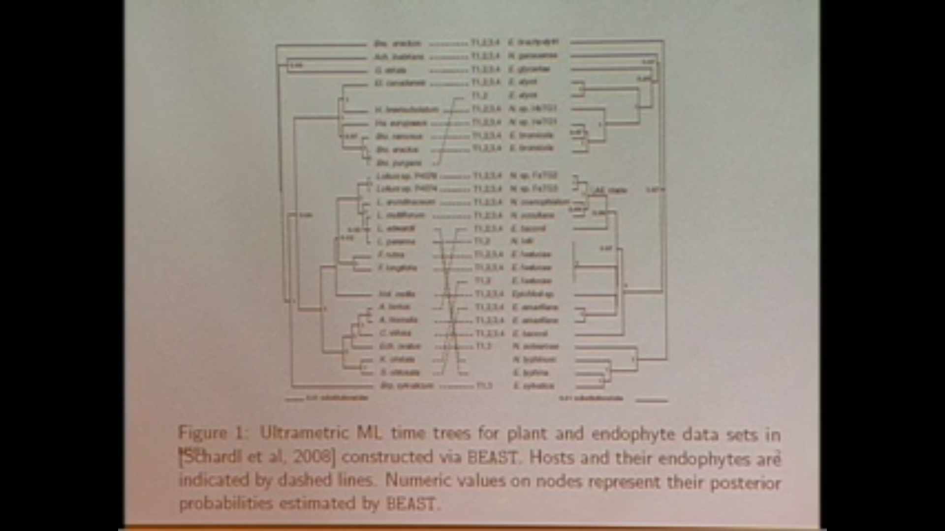 First steps toward the geometry of cophylogeny Thumbnail