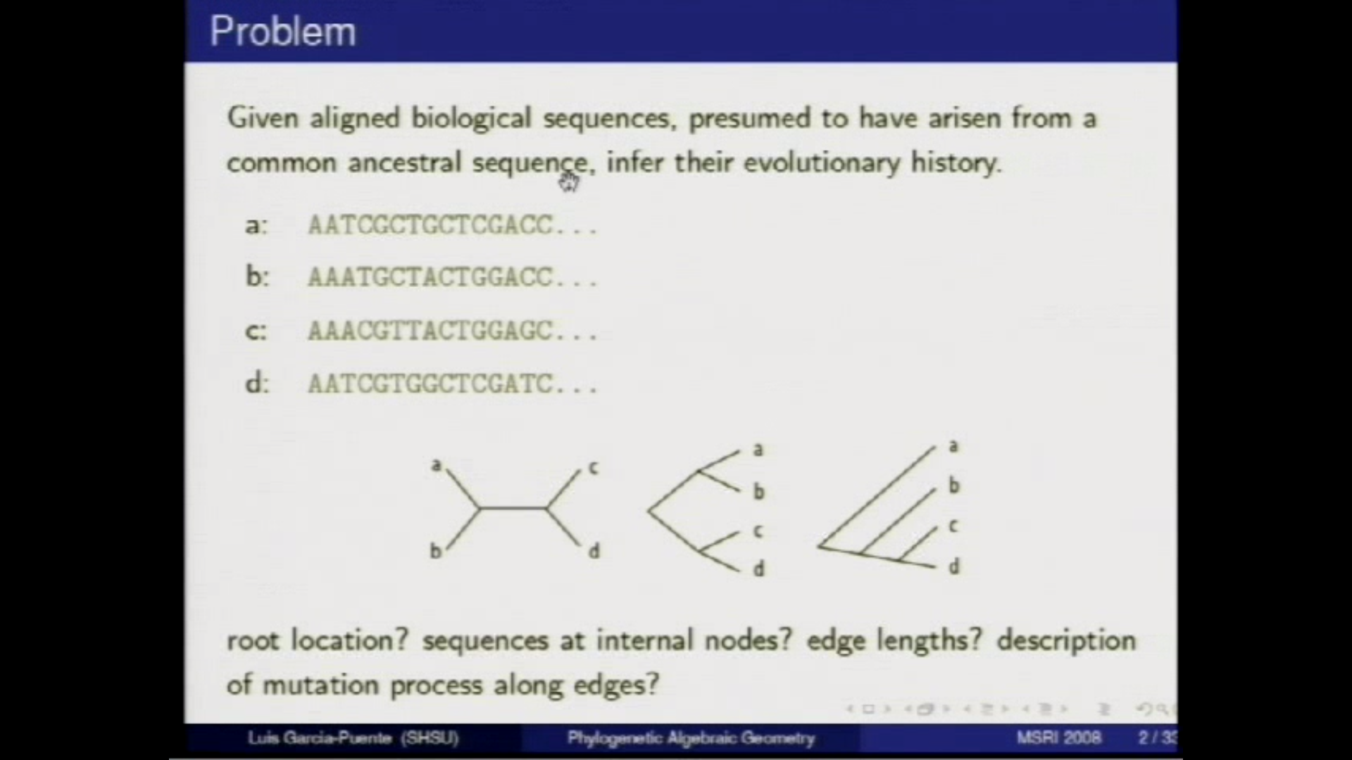 Phylogenetic algebraic geometry Thumbnail