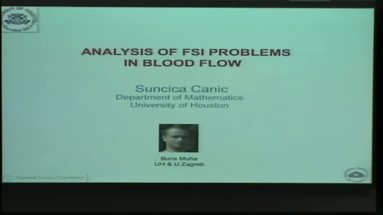 Mathematical Analysis of Fluid-Solid Interaction in Blood Flow Thumbnail