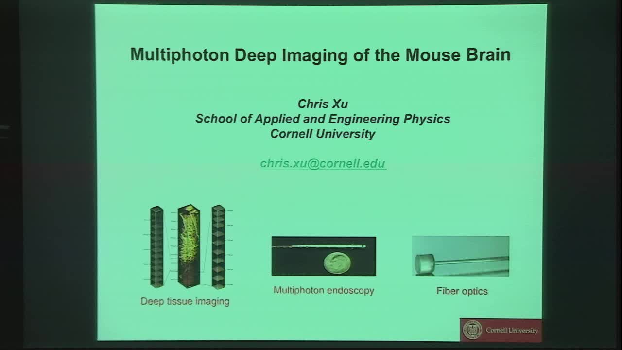 In vivo 3-photon Imaging of the Mouse Brain Thumbnail