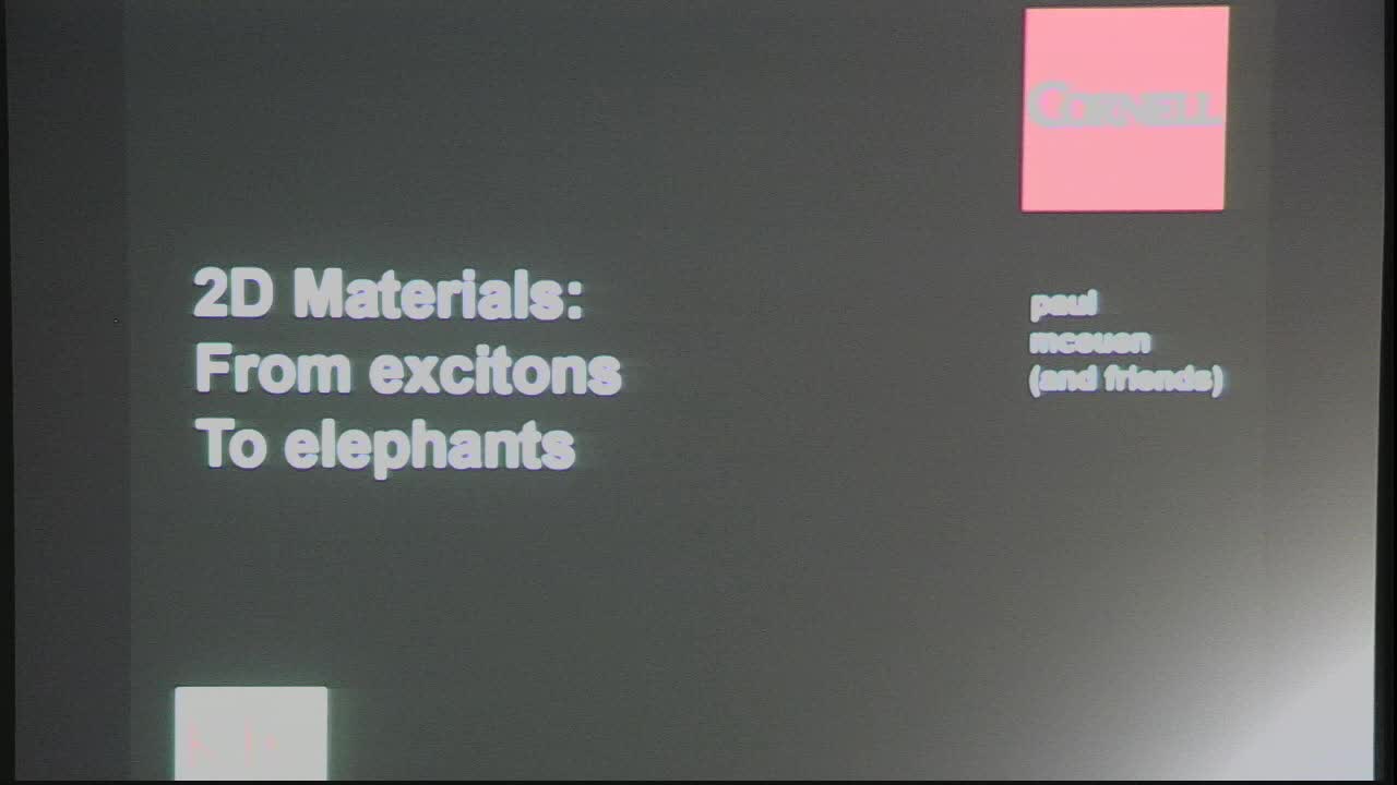 2D Materials, from Excitons to Elephants Thumbnail