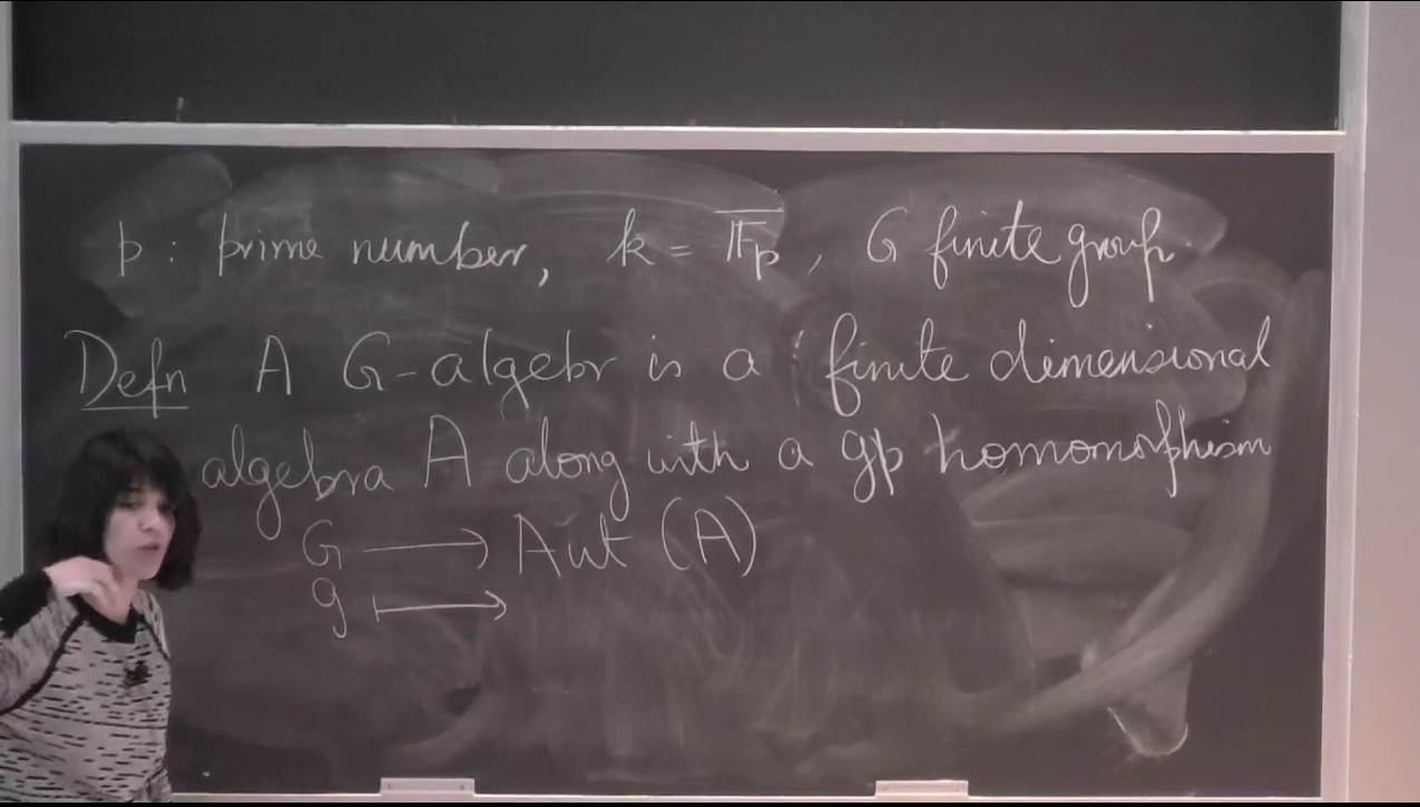 Block theory of finite group algebras Thumbnail