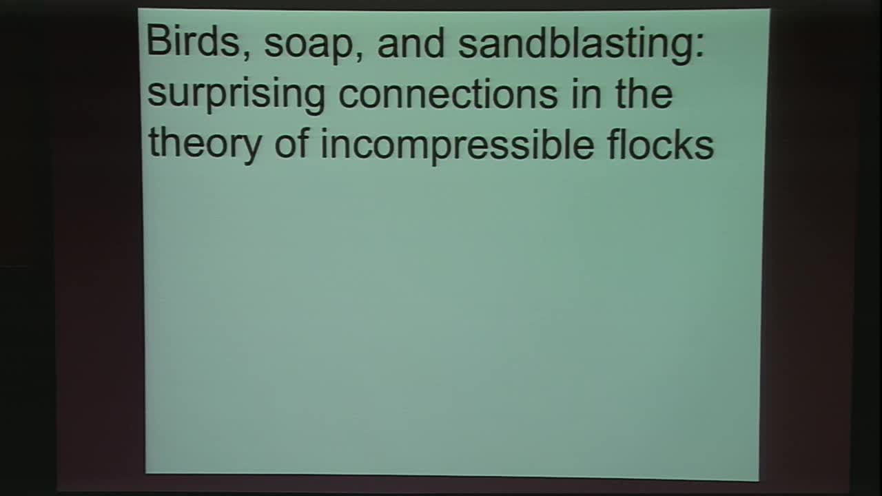 Birds, magnets, soap, and sandblasting: Surprising connections in the theory of incompressible flocks Thumbnail