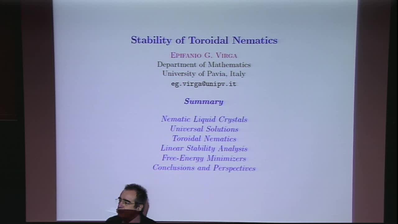 Stability of toroidal nematics Thumbnail