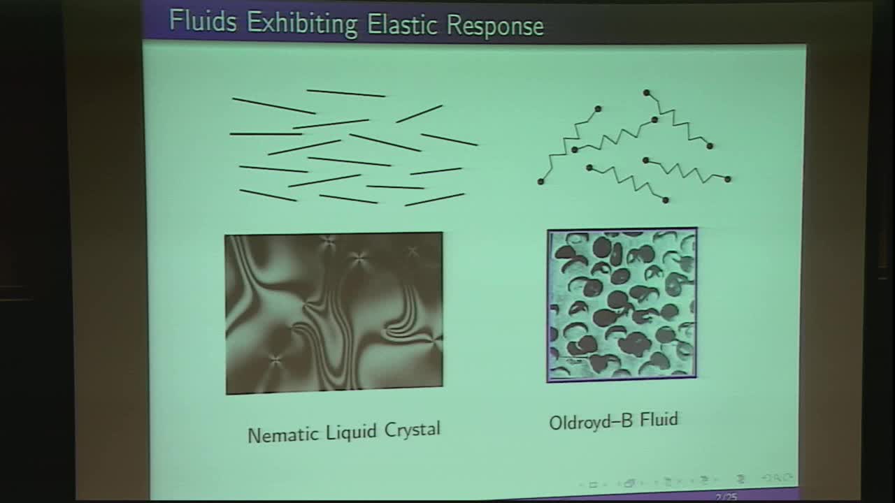 Numerical Approximation of Nematic Fluids Thumbnail