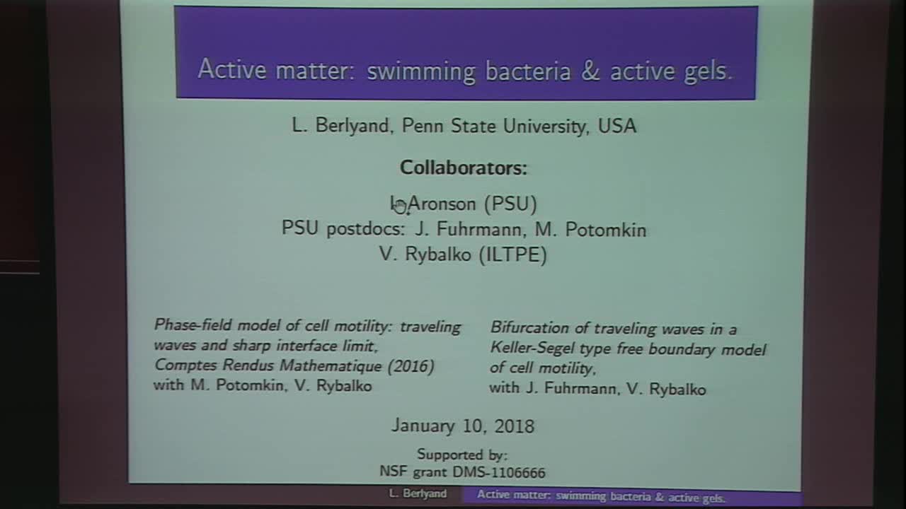 Active matter: Swimming bacteria and active gels Thumbnail