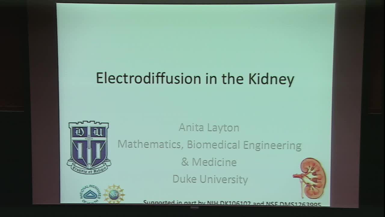 Electrochemical transport in the kidney Thumbnail