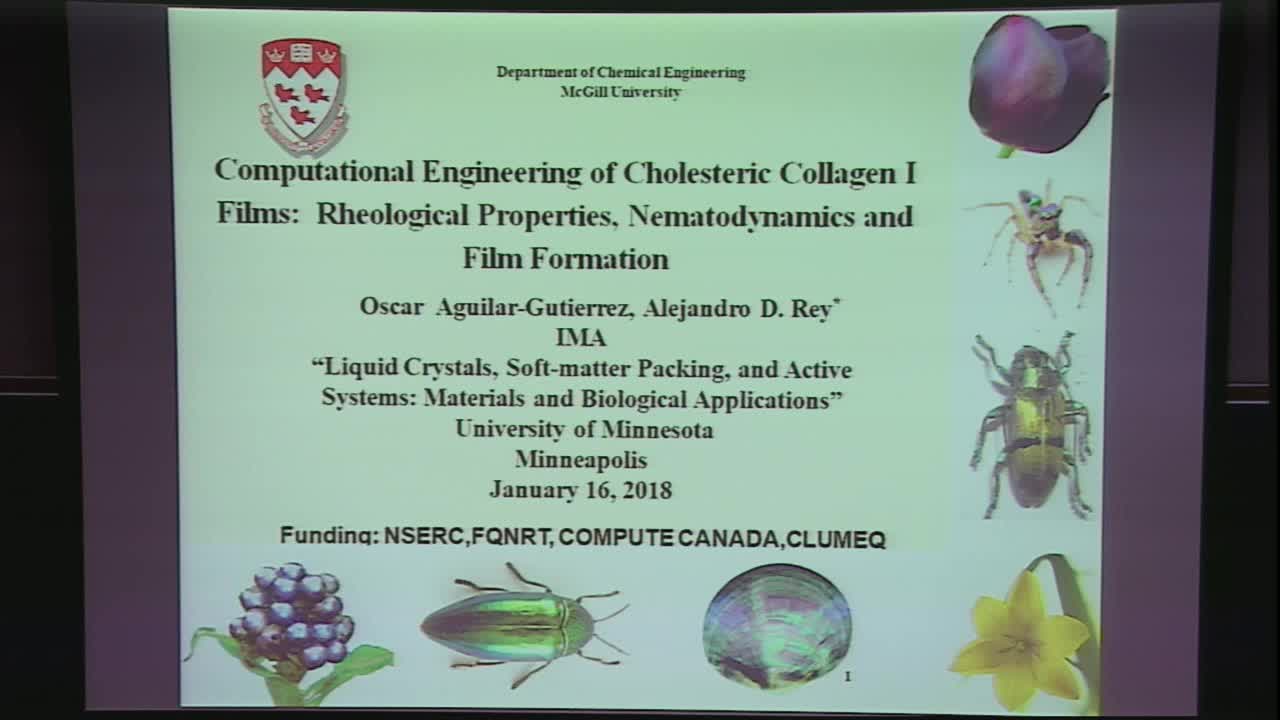 Computational Engineering of Cholesteric Collagen Films: Rheological Properties, Hydrodynamics and Film Formation Thumbnail